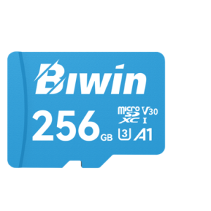 BIWIN MS100 256G  microSD3.0 Read & Write Speed up to 100MB/s & 50MB/s  case pack25/100 C10/U3/V30/A1 (64 GB-256 GB)