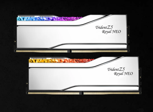 G.SKILL F5-6000J2636H16GX2-TR5NS 32GB (2 x 16GB)/AMD EXPO/ DDR5 6000TM/s/Timings 26-36-36-96/ Voltage1.45V/EXPO TZ5 Royal Neo S