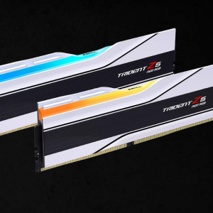 G.SKILL F5-6000J2636H32GX2-TZ5NR  64GB (2 x 32GB)/ AMD EXPO/DDR5 6000 MT/s/ Timings 26-36-36-96 Heatsink/Voltage 1.45v/ TZ5 Neo RGB