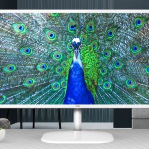 AOC 31.5' IPS Panel 4ms 2K QHD 2560x1440, HDMI, DP, 75Hz, 3-sided Narrow Frame, VESA 100, HDMI: 1.4, DisplayPort: 1.4, White colour, Business monitor