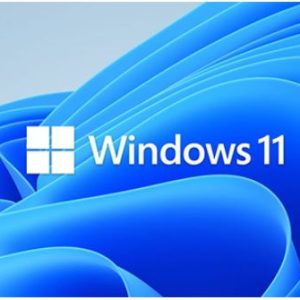 Microsoft Windows 11 Professional for Workstation 64 BIT - By Order