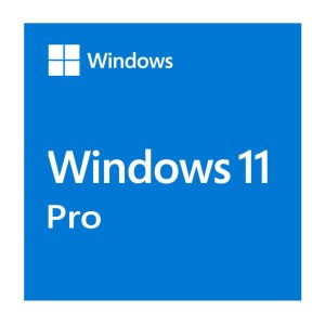 Microsoft Windows 11 Professional OEM 64-bit English 1 Pack DVD. Key NEW