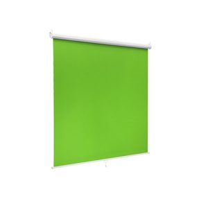 Projector Screen and Mounts
